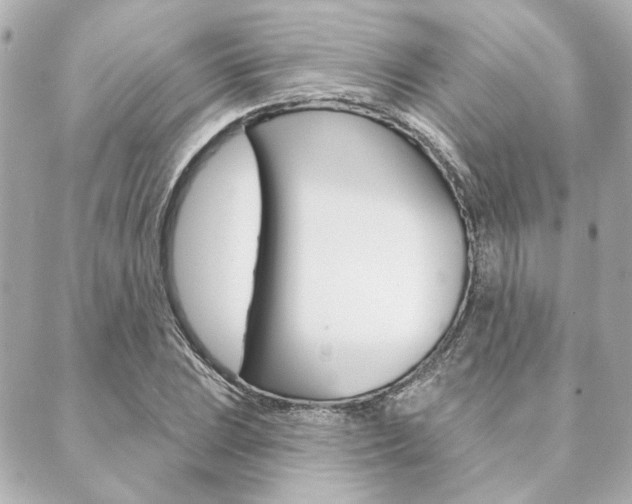 X0000089911023200706290724
