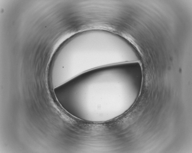X0000089911024200706290724