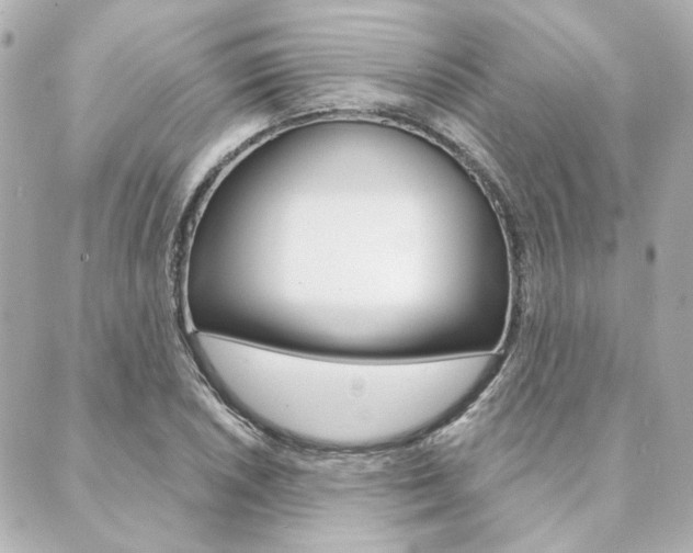 X0000089911026200706290724
