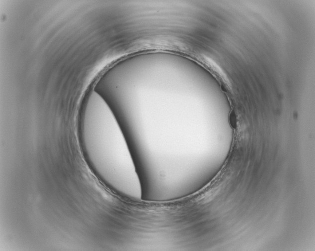 X0000089911035200706290724