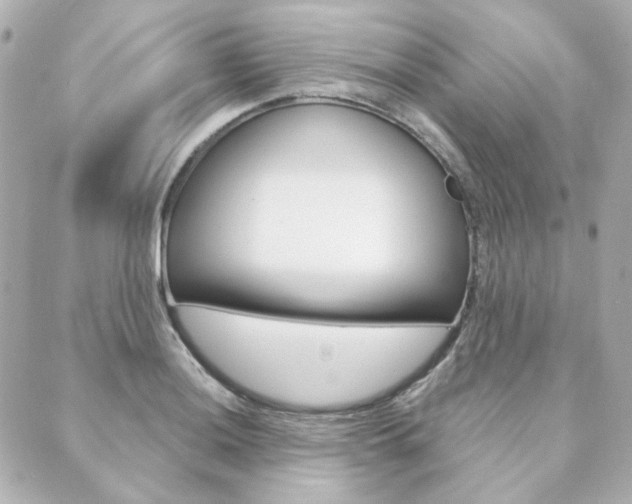 X0000089911036200706290724