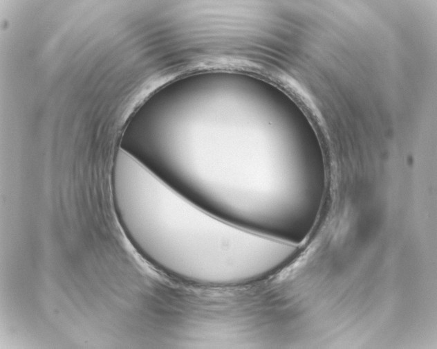 X0000089911041200706290724