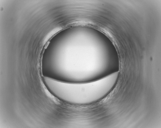 X0000089911042200706290724