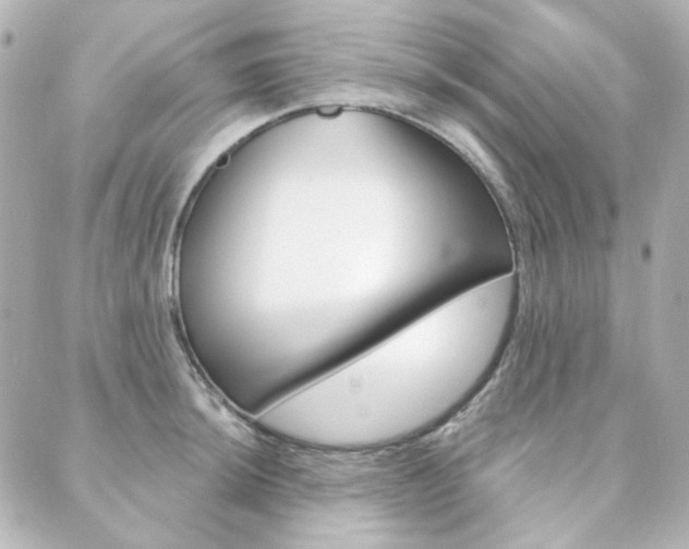 X0000089911044200706290724