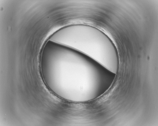 X0000089911045200706290724