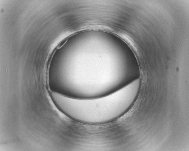X0000089911046200706290724