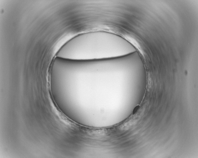 X0000089911047200706290724