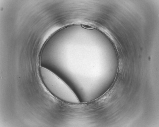 X0000089911048200706290724