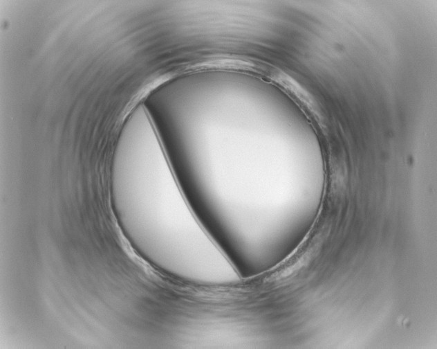 X0000089911049200706290724