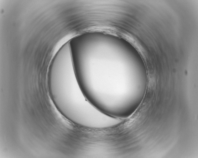 X0000089911050200706290724