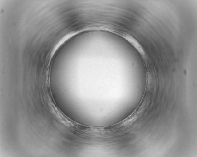 X0000089911052200706290724