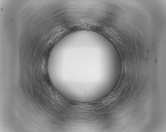 X0000089911060200706290724