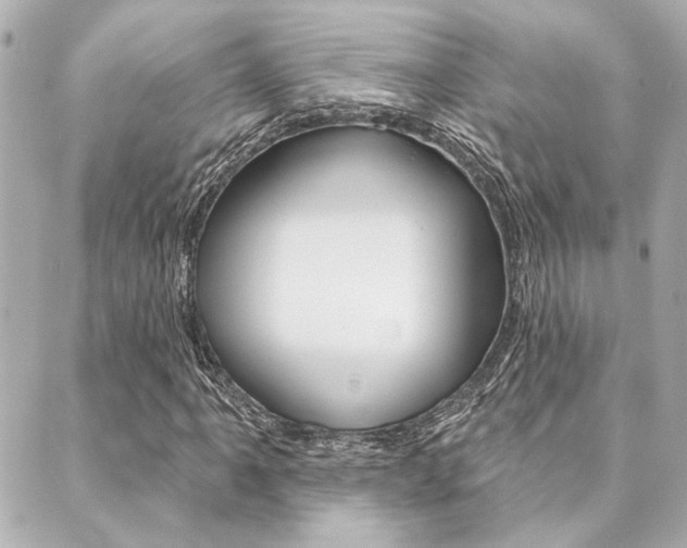 X0000089911061200706290724