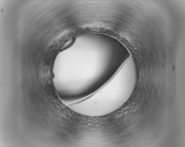 X0000089911062200706290724