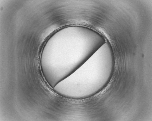 X0000089911071200706290723