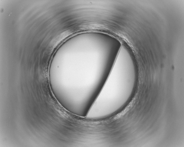 X0000089911073200706290723
