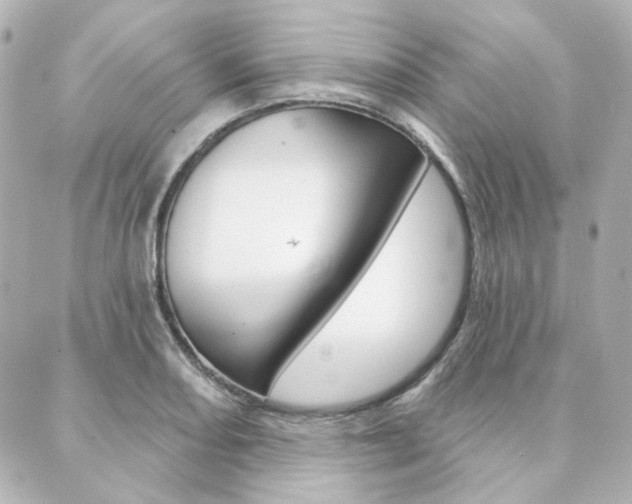 X0000089911082200706290723