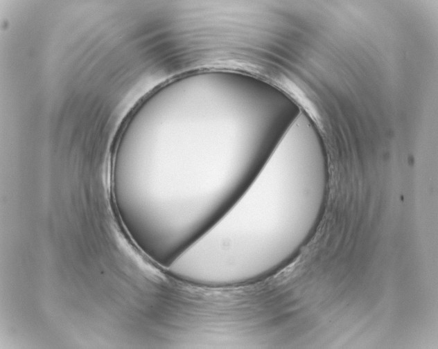 X0000089911084200706290723
