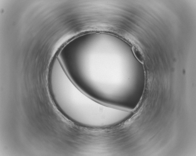 X0000089911085200706290723