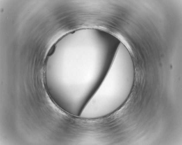 X0000089911100200706290723