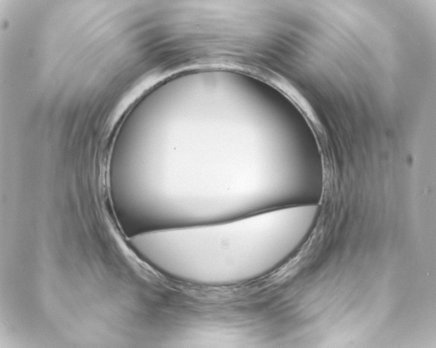 X0000089911101200706290723