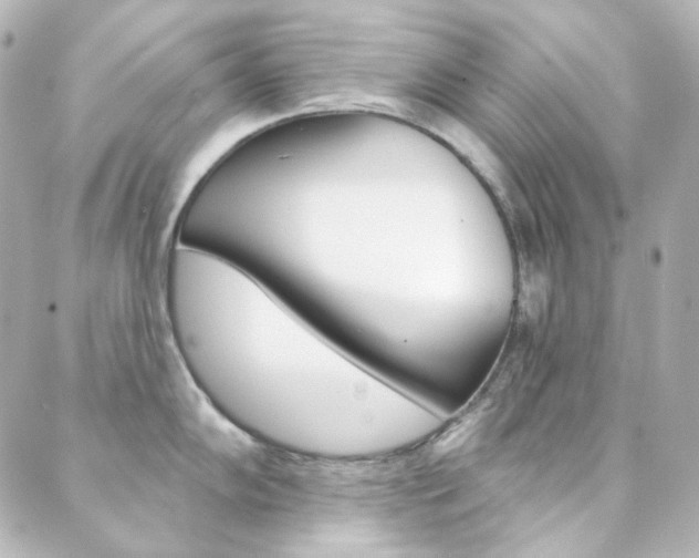 X0000089911102200706290723