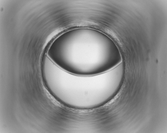 X0000089911122200706290722