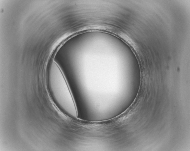 X0000089911127200706290723