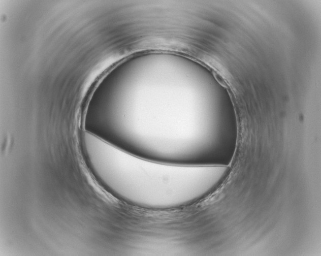 X0000089911128200706290723