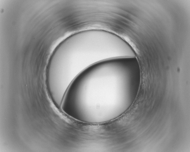 X0000089911134200706290723