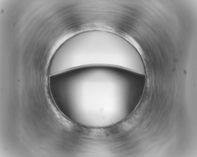X0000089911144200706290723
