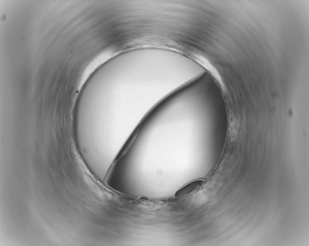 X0000089911146200706290723