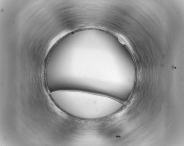 X0000089911149200706290723