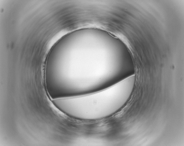 X0000089911151200706290723