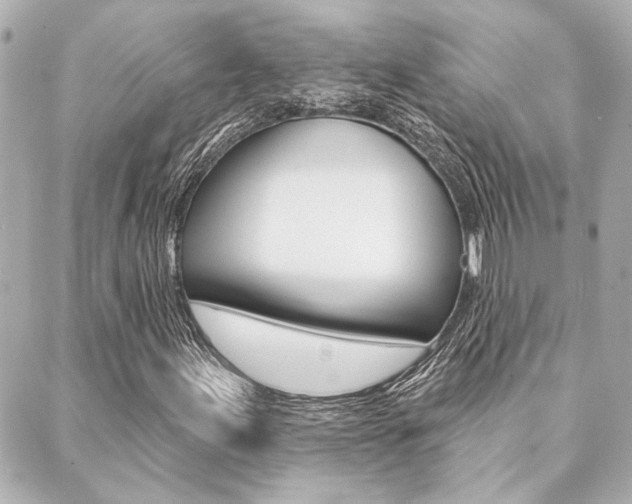 X0000089911155200706290722