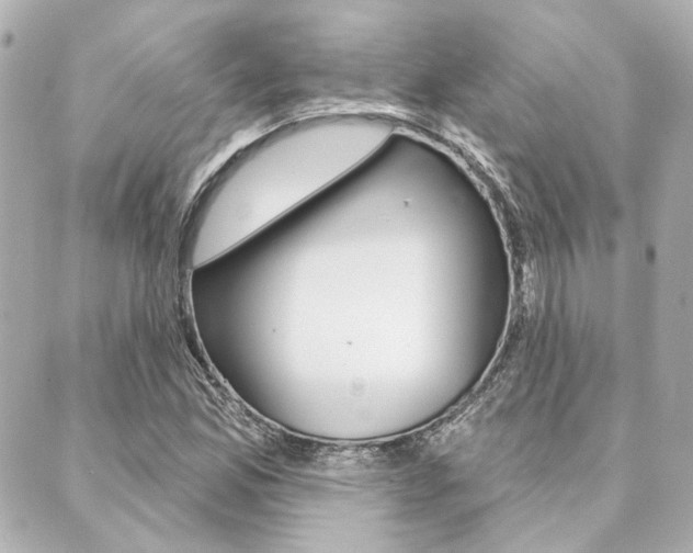 X0000089911165200706290722