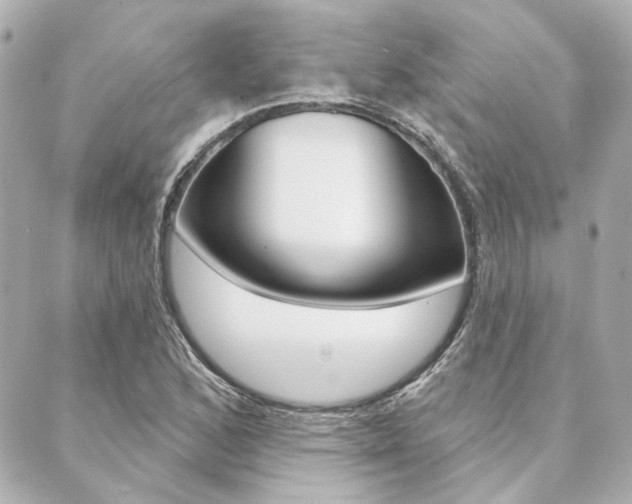 X0000089911168200706290722