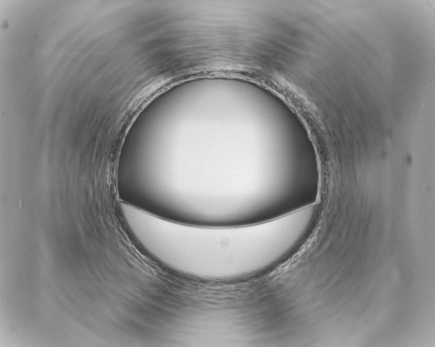 X0000089911169200706290722