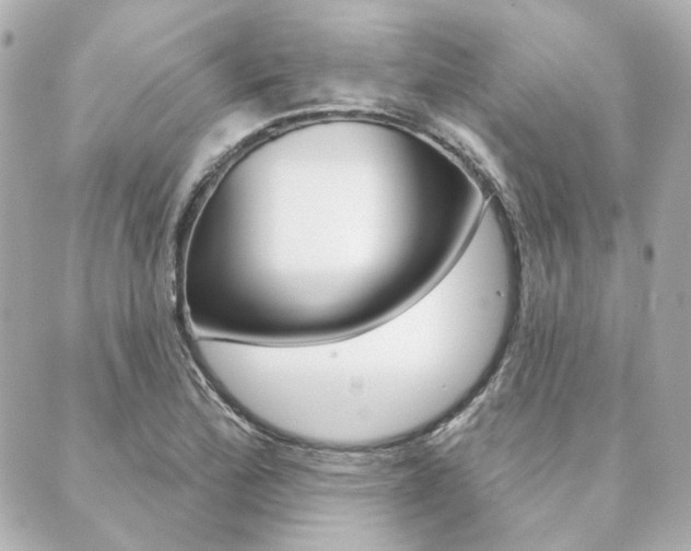 X0000089911172200706290722