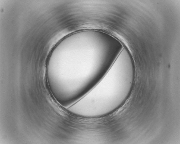 X0000089911179200706290722