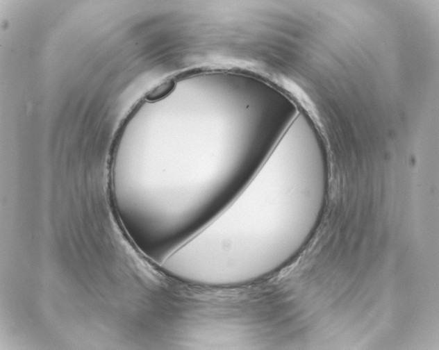 X0000089911183200706290722