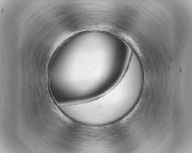 X0000089911184200706290722