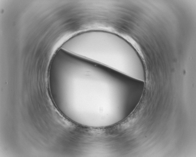 X0000089911191200706290722