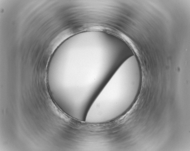 X0000089911194200706290721