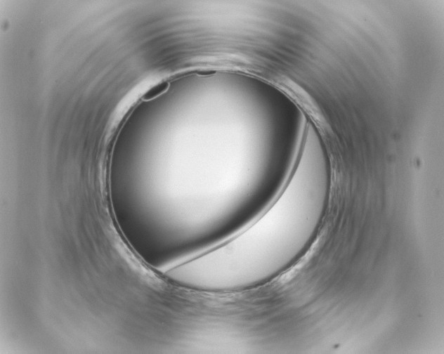 X0000089911196200706290721