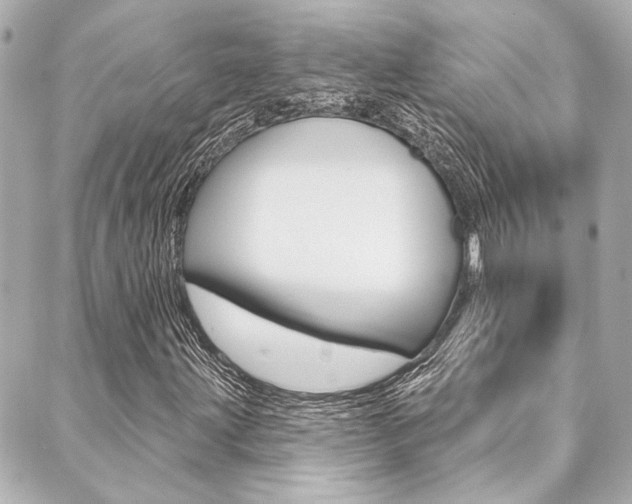 X0000089911203200706290721