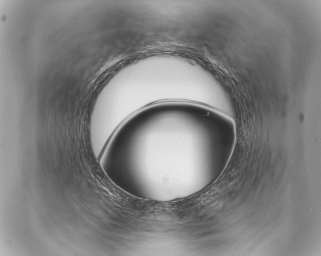 X0000089911206200706290721