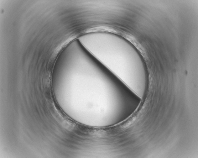 X0000089911233200706290721