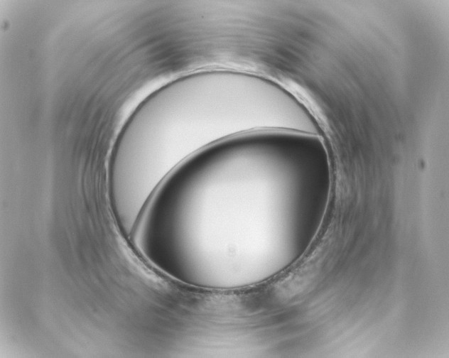 X0000089911238200706290721