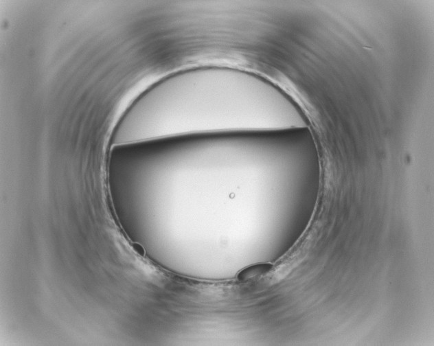 X0000089911240200706290721